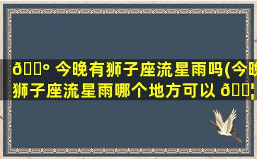 🐺 今晚有狮子座流星雨吗(今晚狮子座流星雨哪个地方可以 🐦 看)